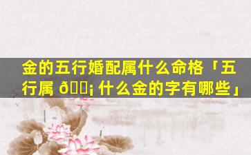 金的五行婚配属什么命格「五行属 🐡 什么金的字有哪些」